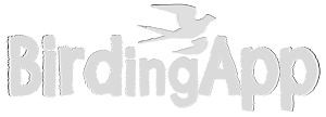 BirdingApp